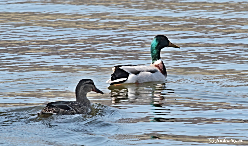 IMG_6158